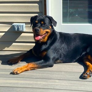 Meet your Posher, Eva